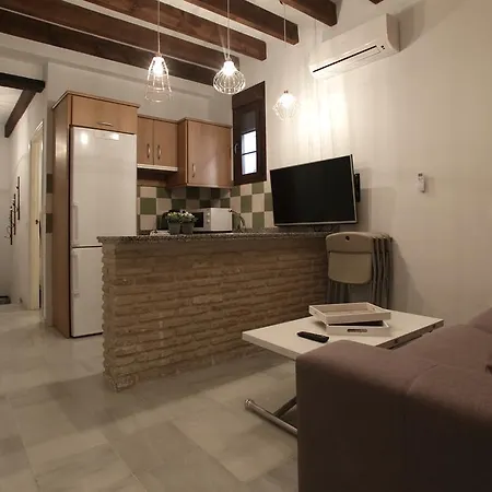 Apartment Castilla -triana *